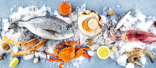 Accord pain et produits de la mer : l'océan avec des recettes encore plus gourmandes